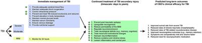 Cannabidiol's <mark class="highlighted">neuroprotective properties</mark> and potential treatment of traumatic brain injuries